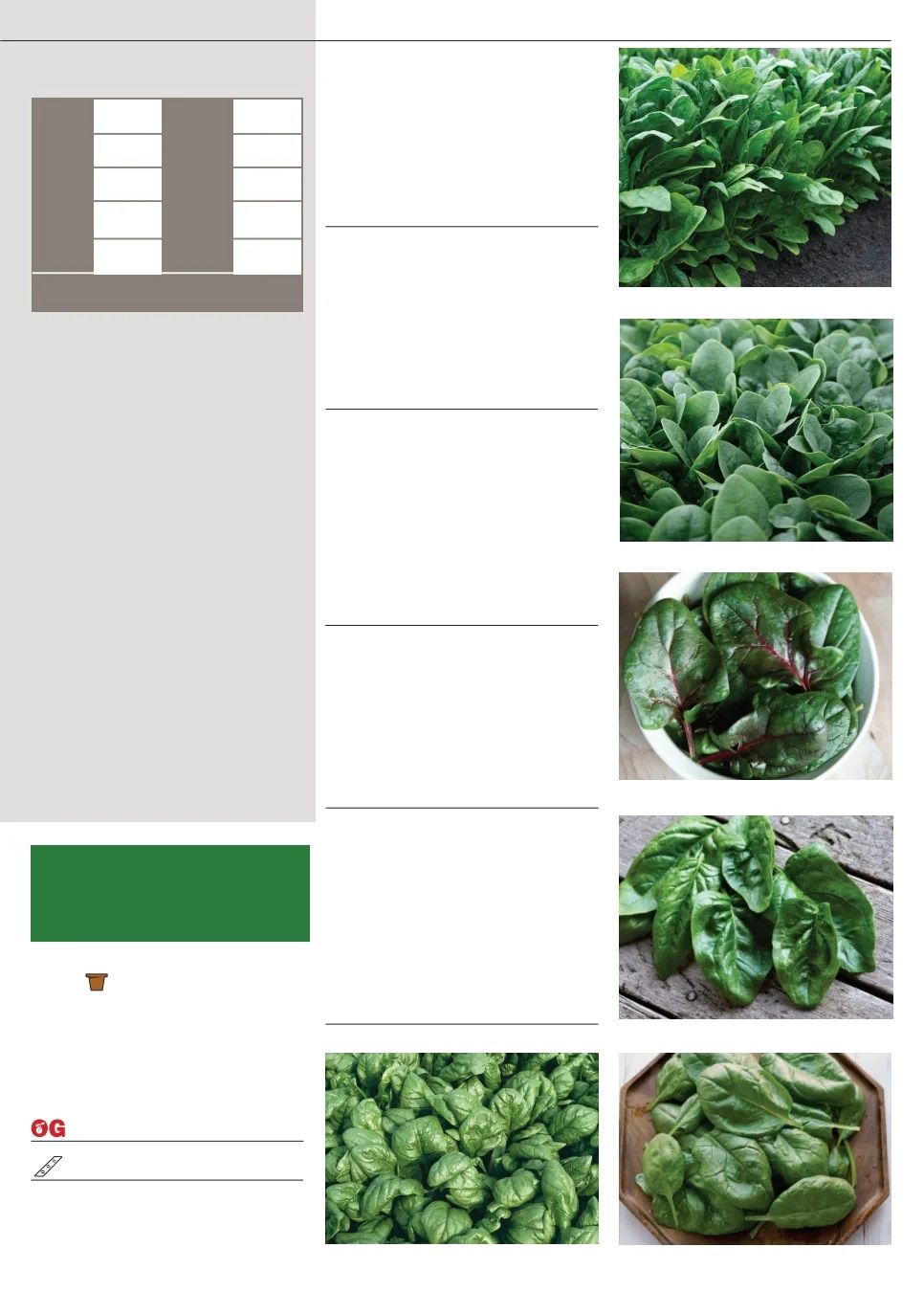 Territorial Seed Fall and Winter Catalog Weekly Ad July 1, 2026 - March 31, 2027