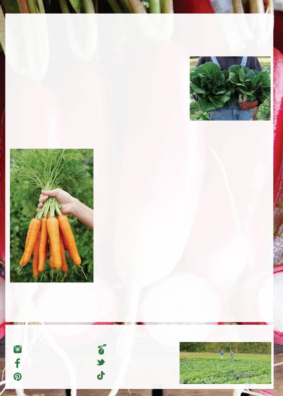 Territorial Seed Fall and Winter Catalog Weekly Ad July 1, 2026 - March 31, 2027