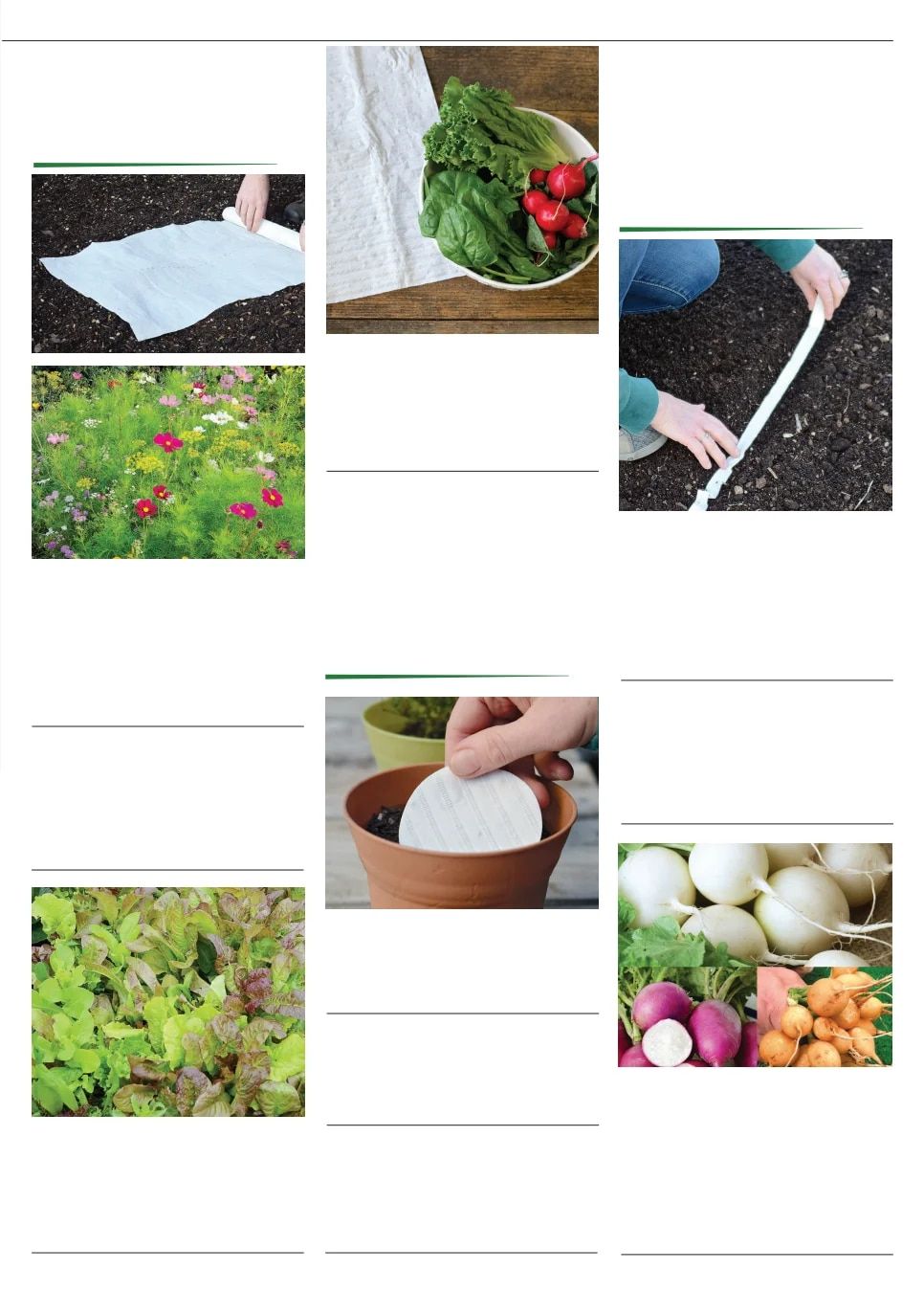 Territorial Seed Fall and Winter Catalog Weekly Ad July 1, 2026 - March 31, 2027