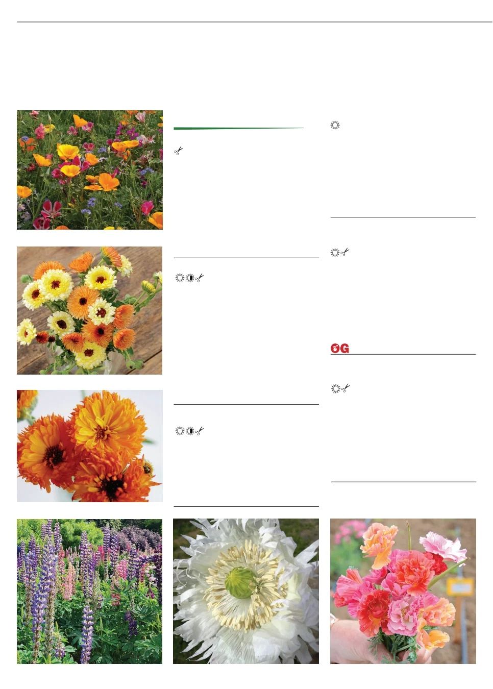 Territorial Seed Fall and Winter Catalog Weekly Ad July 1, 2026 - March 31, 2027