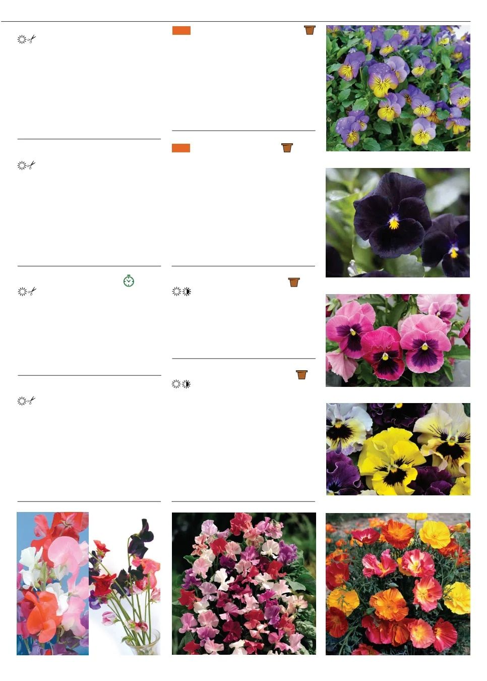 Territorial Seed Fall and Winter Catalog Weekly Ad July 1, 2026 - March 31, 2027