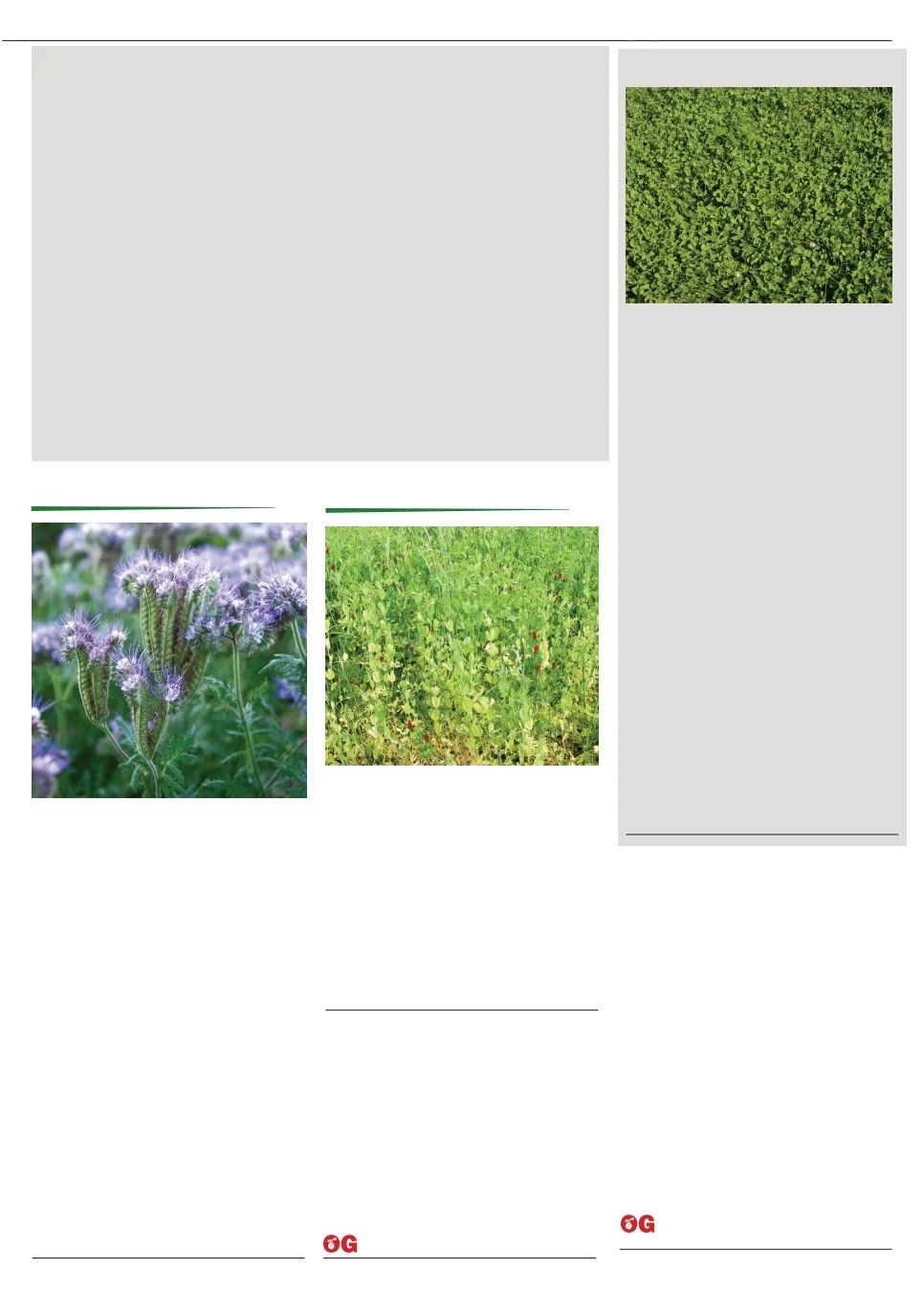 Territorial Seed Fall and Winter Catalog Weekly Ad July 1, 2026 - March 31, 2027