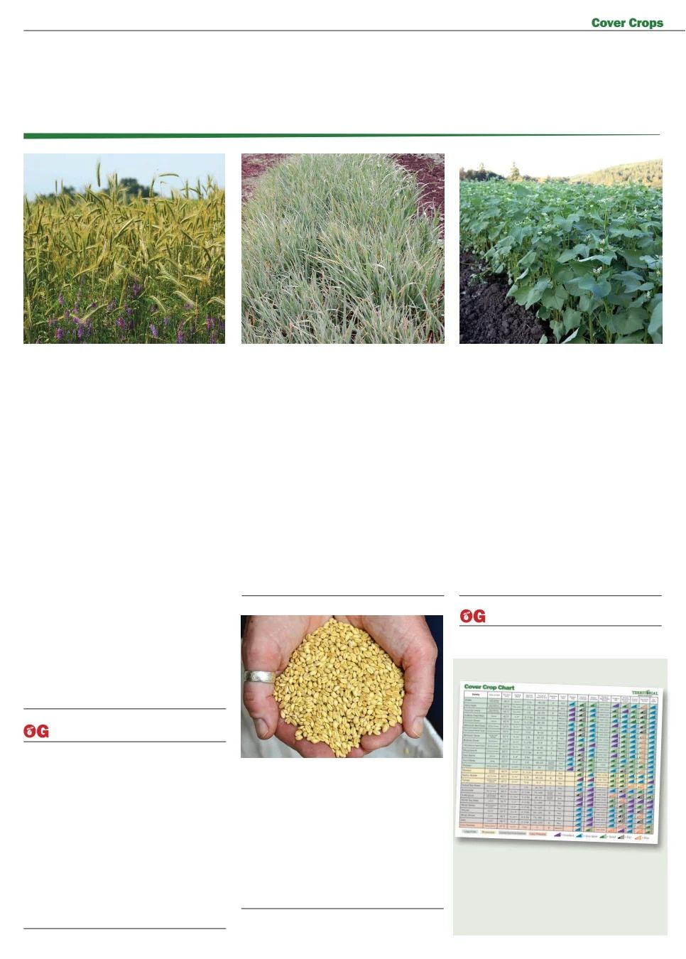 Territorial Seed Fall and Winter Catalog Weekly Ad July 1, 2026 - March 31, 2027