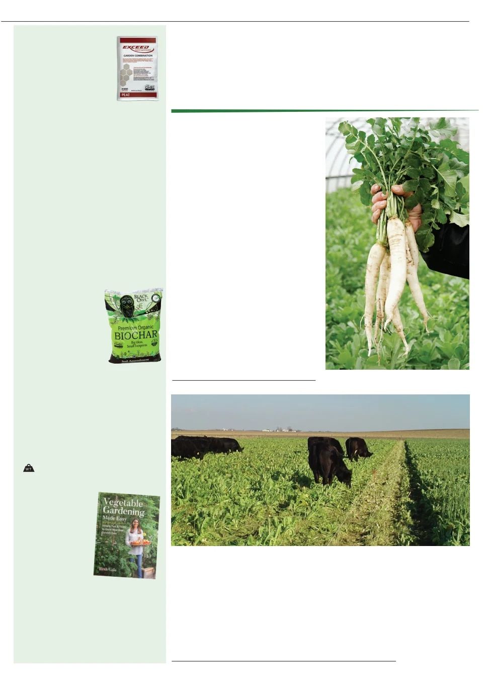 Territorial Seed Fall and Winter Catalog Weekly Ad July 1, 2026 - March 31, 2027
