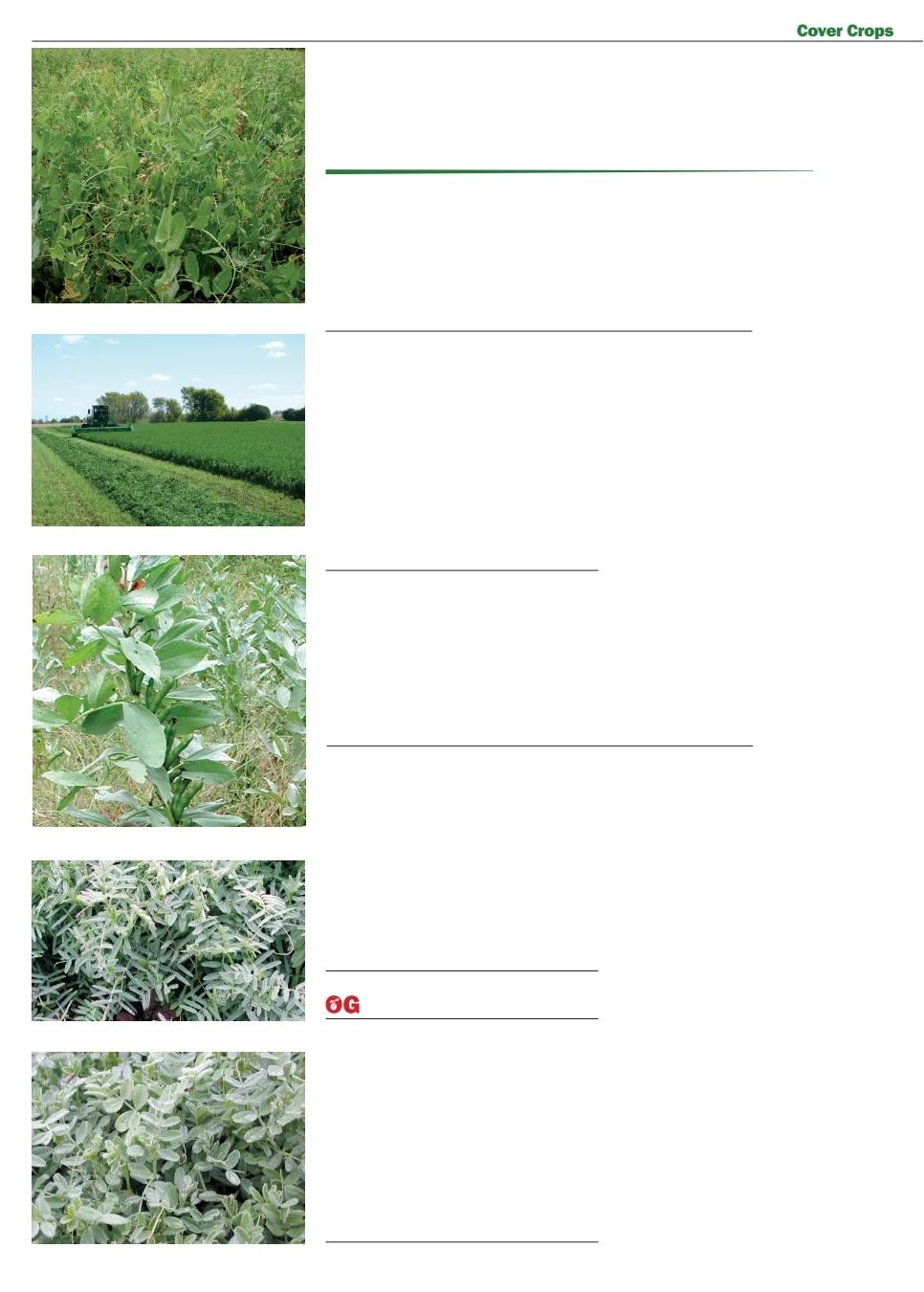 Territorial Seed Fall and Winter Catalog Weekly Ad July 1, 2026 - March 31, 2027