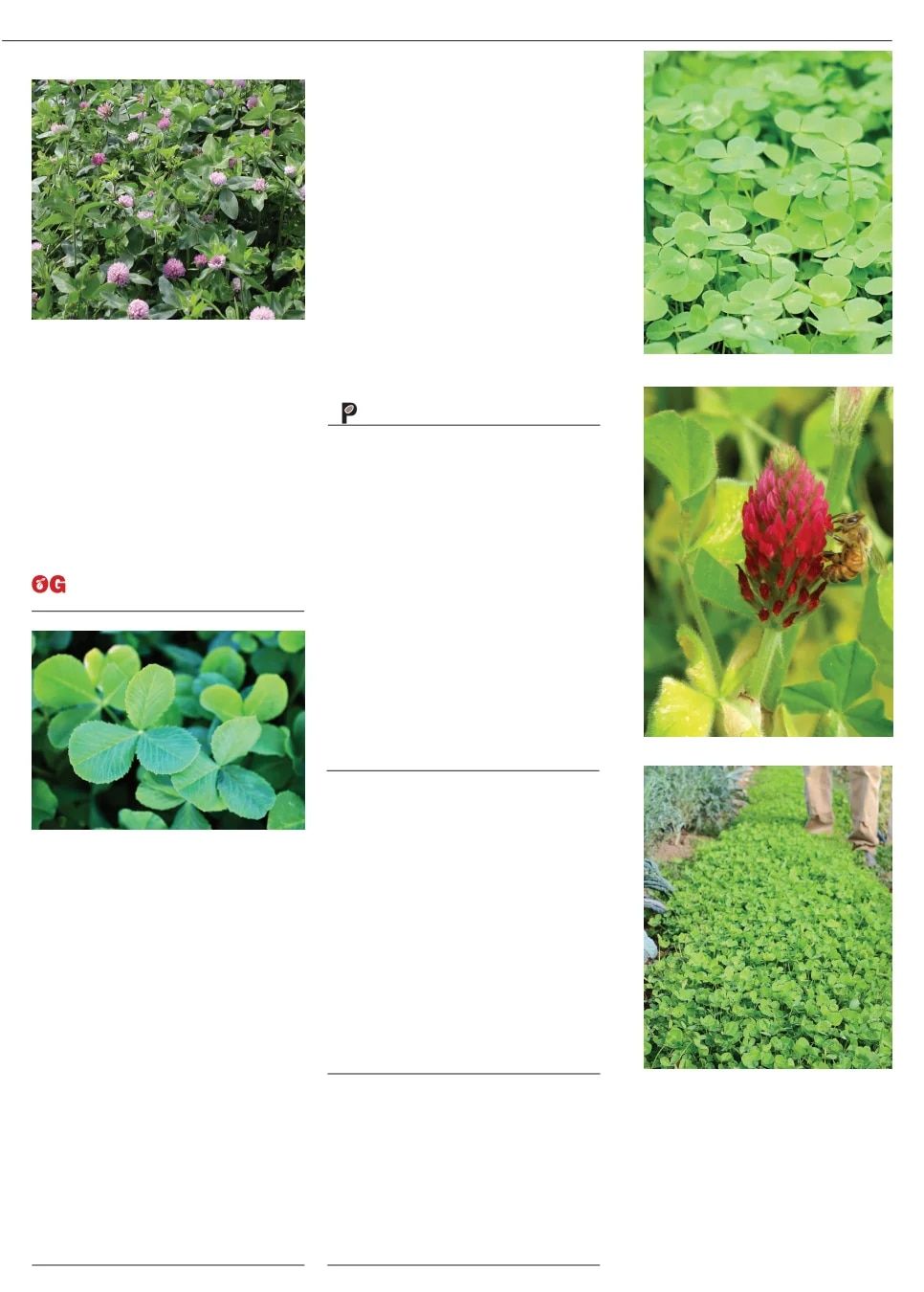 Territorial Seed Fall and Winter Catalog Weekly Ad July 1, 2026 - March 31, 2027