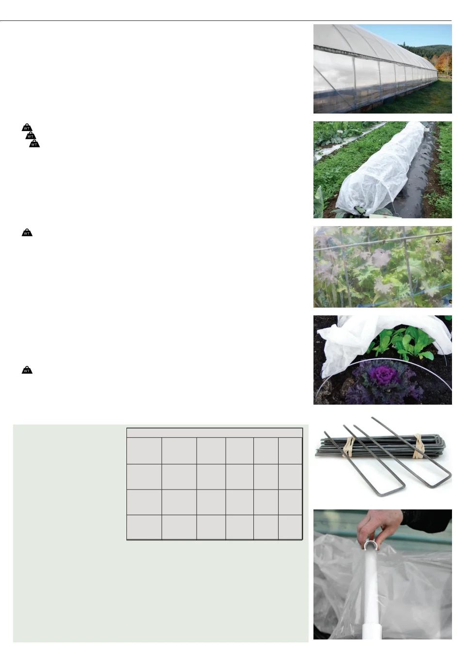 Territorial Seed Fall and Winter Catalog Weekly Ad July 1, 2026 - March 31, 2027