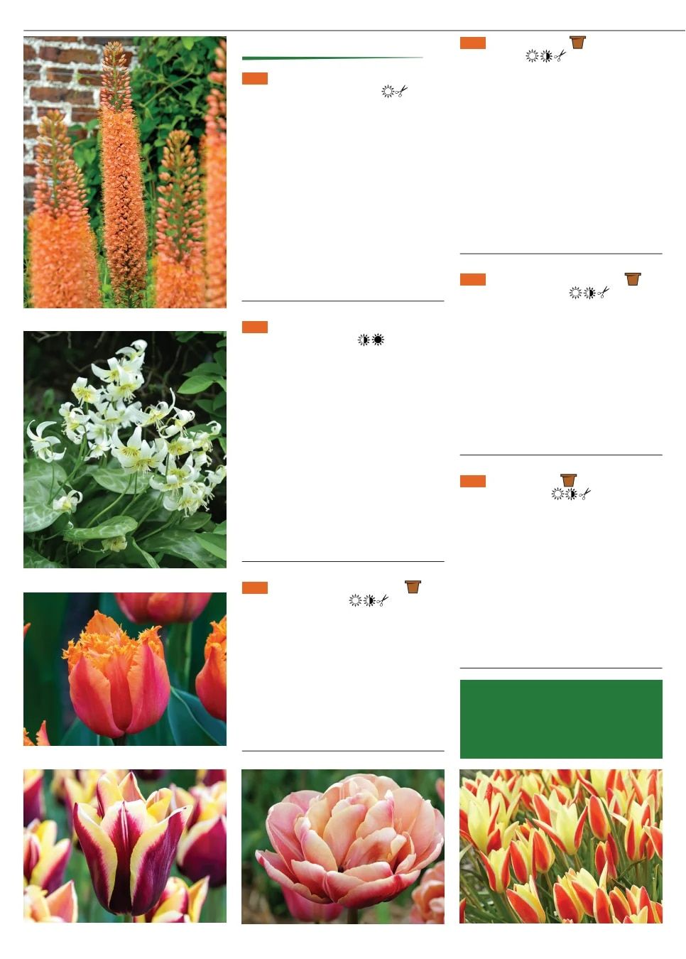 Territorial Seed Fall and Winter Catalog Weekly Ad July 1, 2026 - March 31, 2027