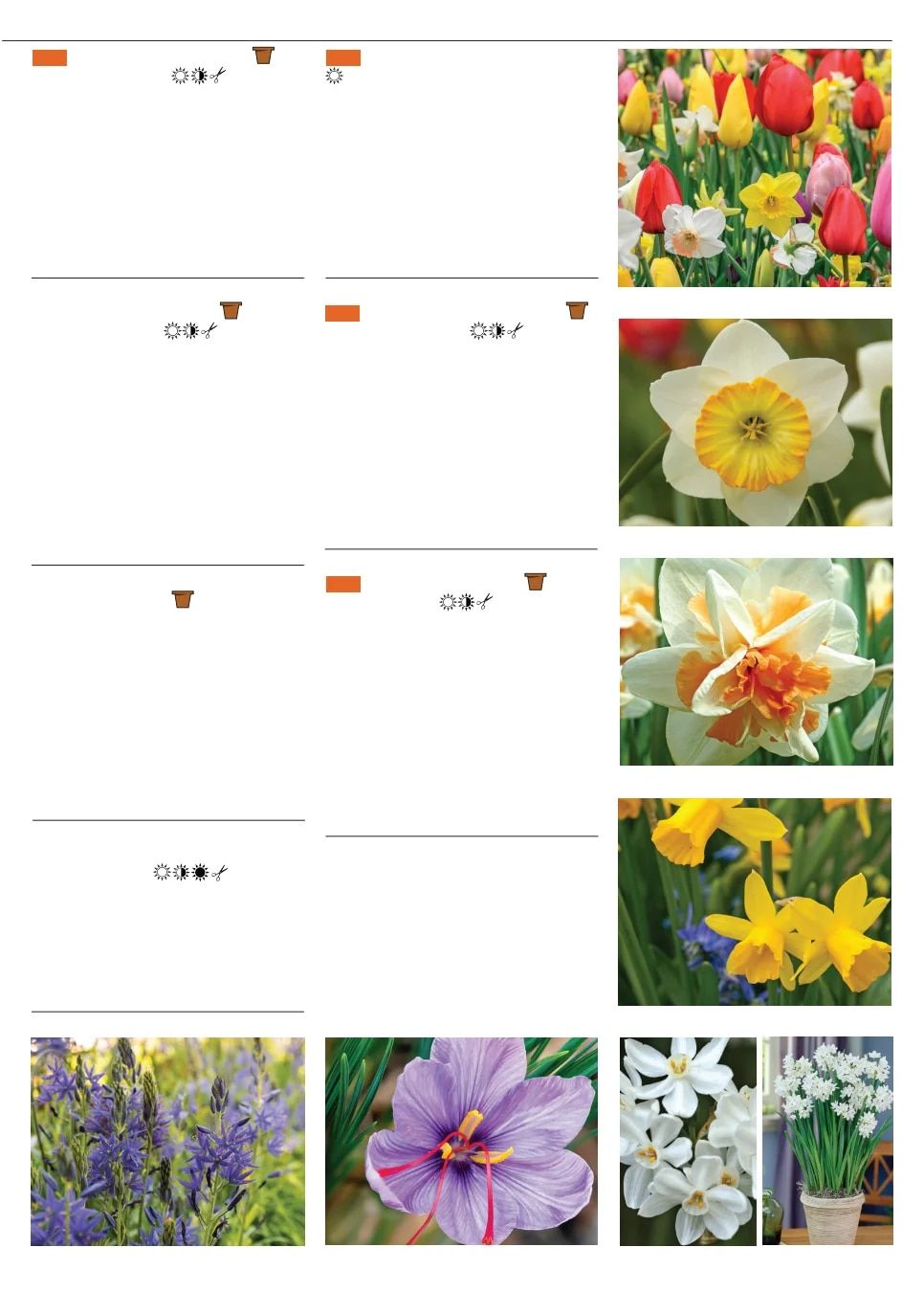 Territorial Seed Fall and Winter Catalog Weekly Ad July 1, 2026 - March 31, 2027