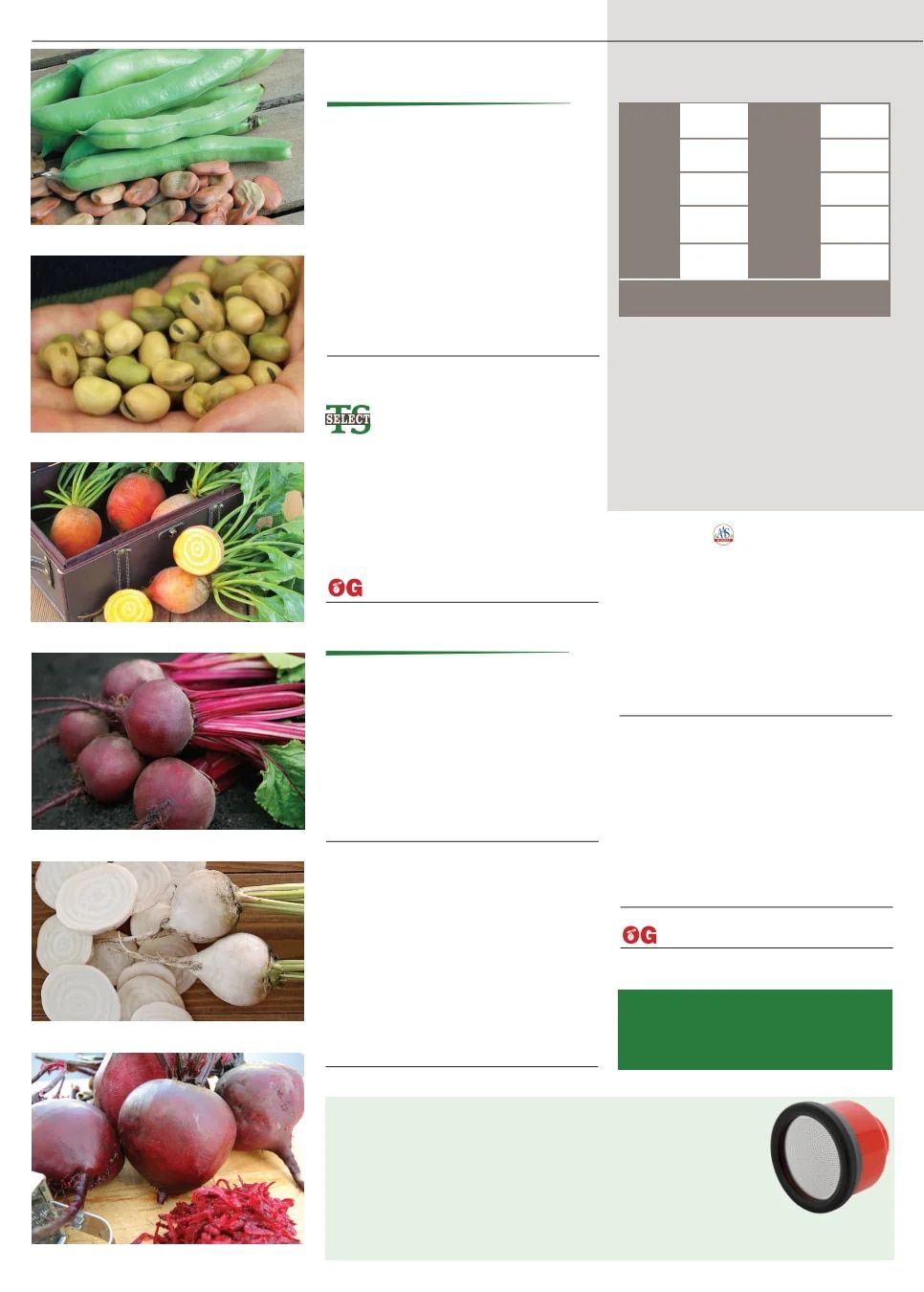 Territorial Seed Fall and Winter Catalog Weekly Ad July 1, 2026 - March 31, 2027