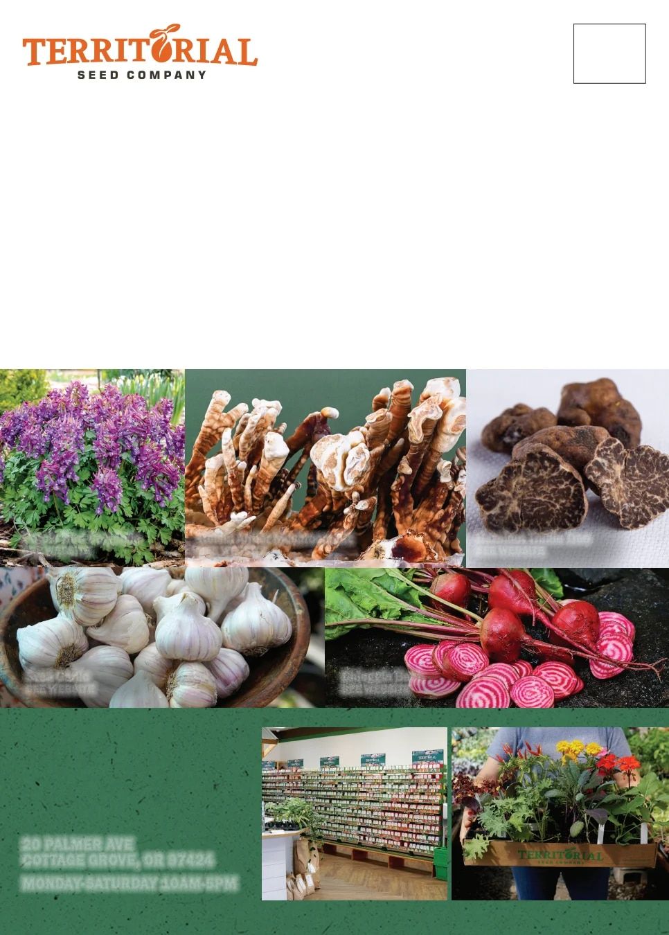 Territorial Seed Fall and Winter Catalog Weekly Ad July 1, 2026 - March 31, 2027