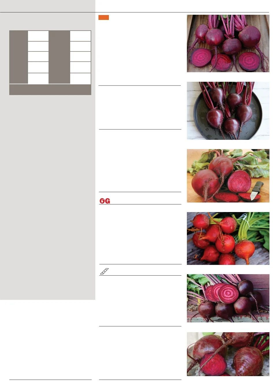Territorial Seed Fall and Winter Catalog Weekly Ad July 1, 2026 - March 31, 2027