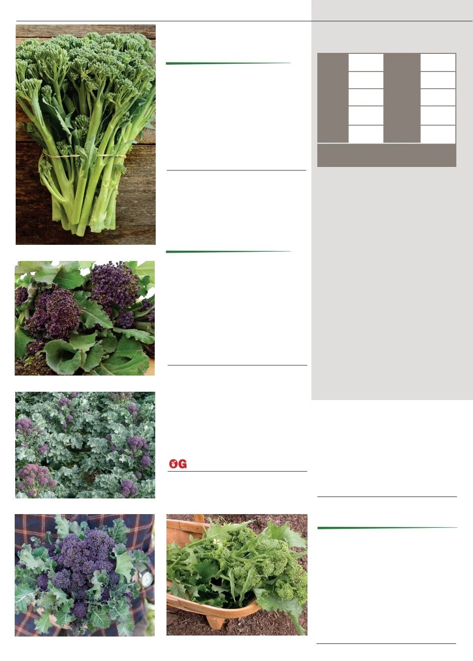 Territorial Seed Fall and Winter Catalog Weekly Ad July 1, 2026 - March 31, 2027