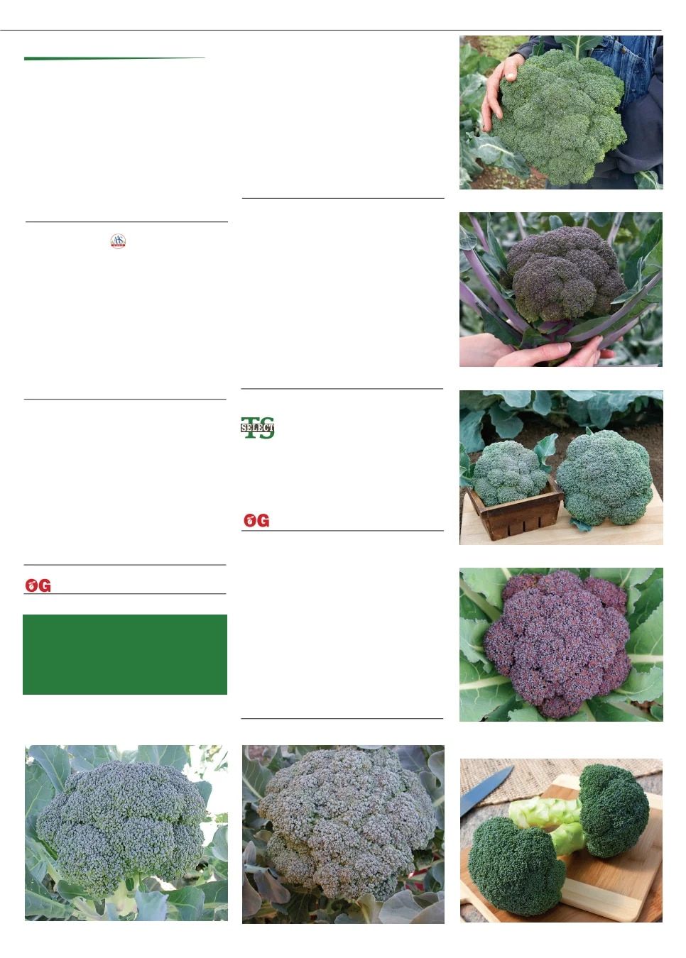 Territorial Seed Fall and Winter Catalog Weekly Ad July 1, 2026 - March 31, 2027