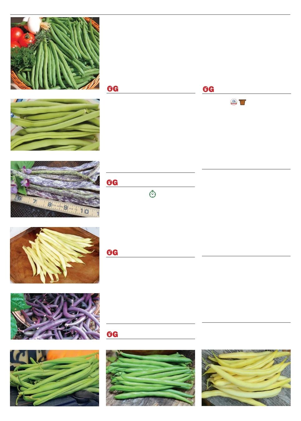 Territorial Seed Spring Catalog Weekly Ad January 1 - September 30, 2026