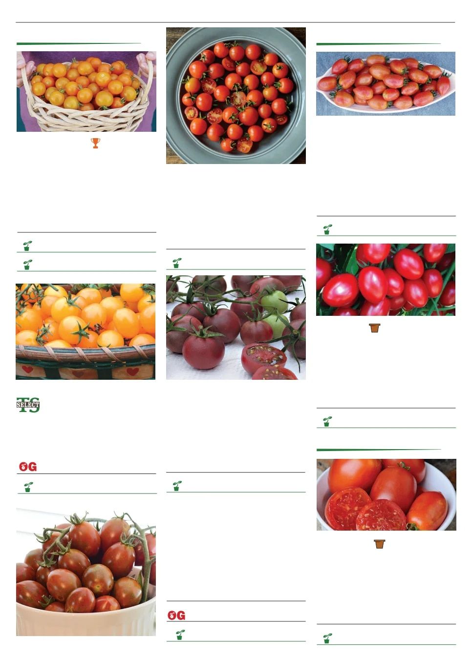 Territorial Seed Spring Catalog Weekly Ad January 1 - September 30, 2026