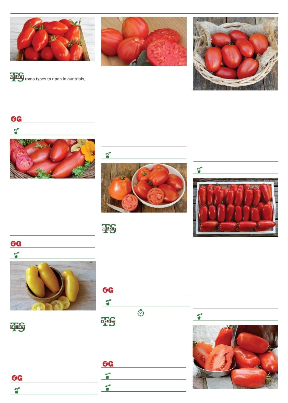 Territorial Seed Spring Catalog Weekly Ad January 1 - September 30, 2026