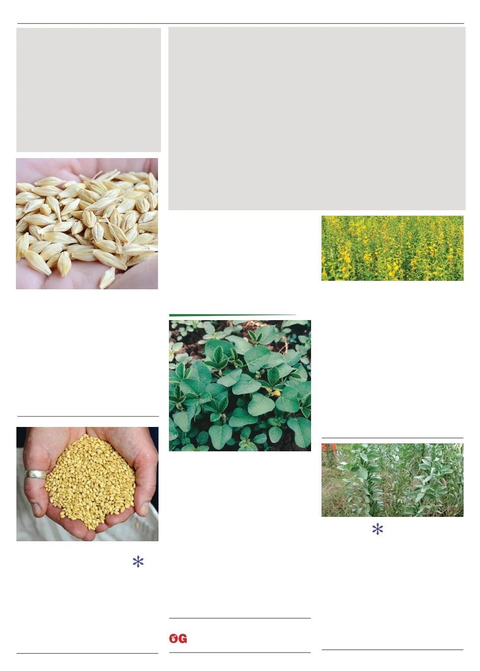 Territorial Seed Spring Catalog Weekly Ad January 1 - September 30, 2026