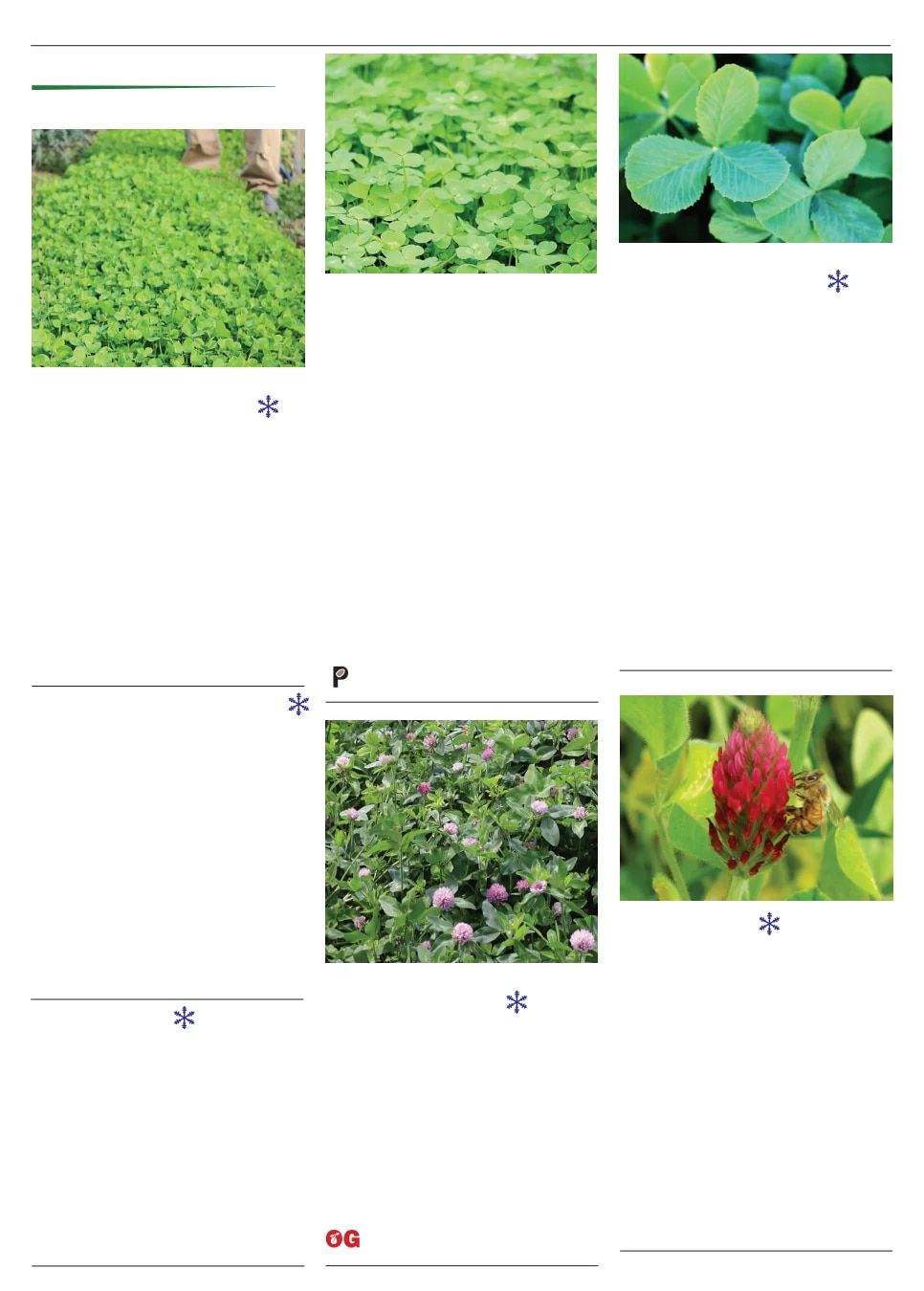 Territorial Seed Spring Catalog Weekly Ad January 1 - September 30, 2026
