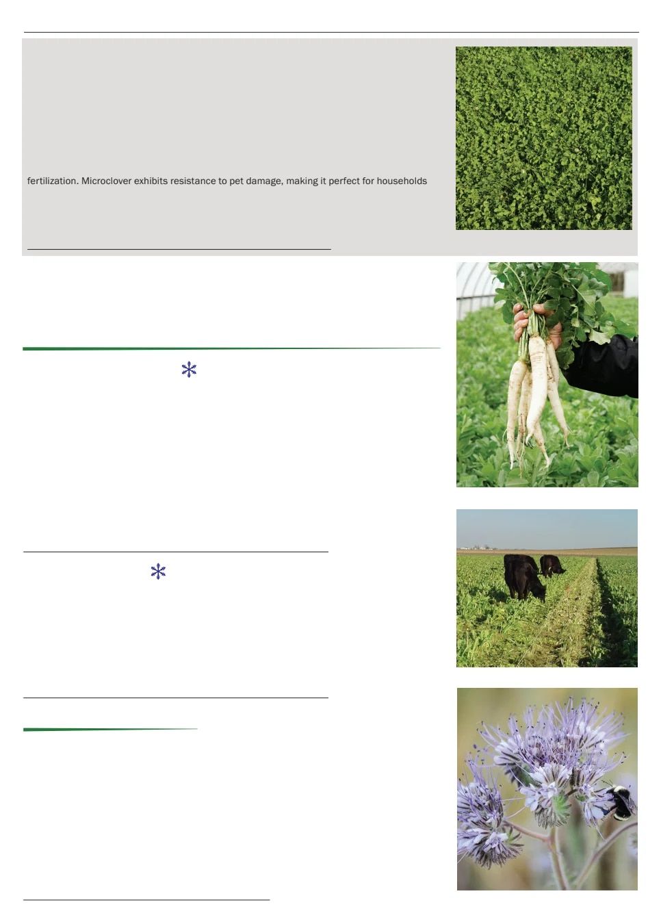 Territorial Seed Spring Catalog Weekly Ad January 1 - September 30, 2026