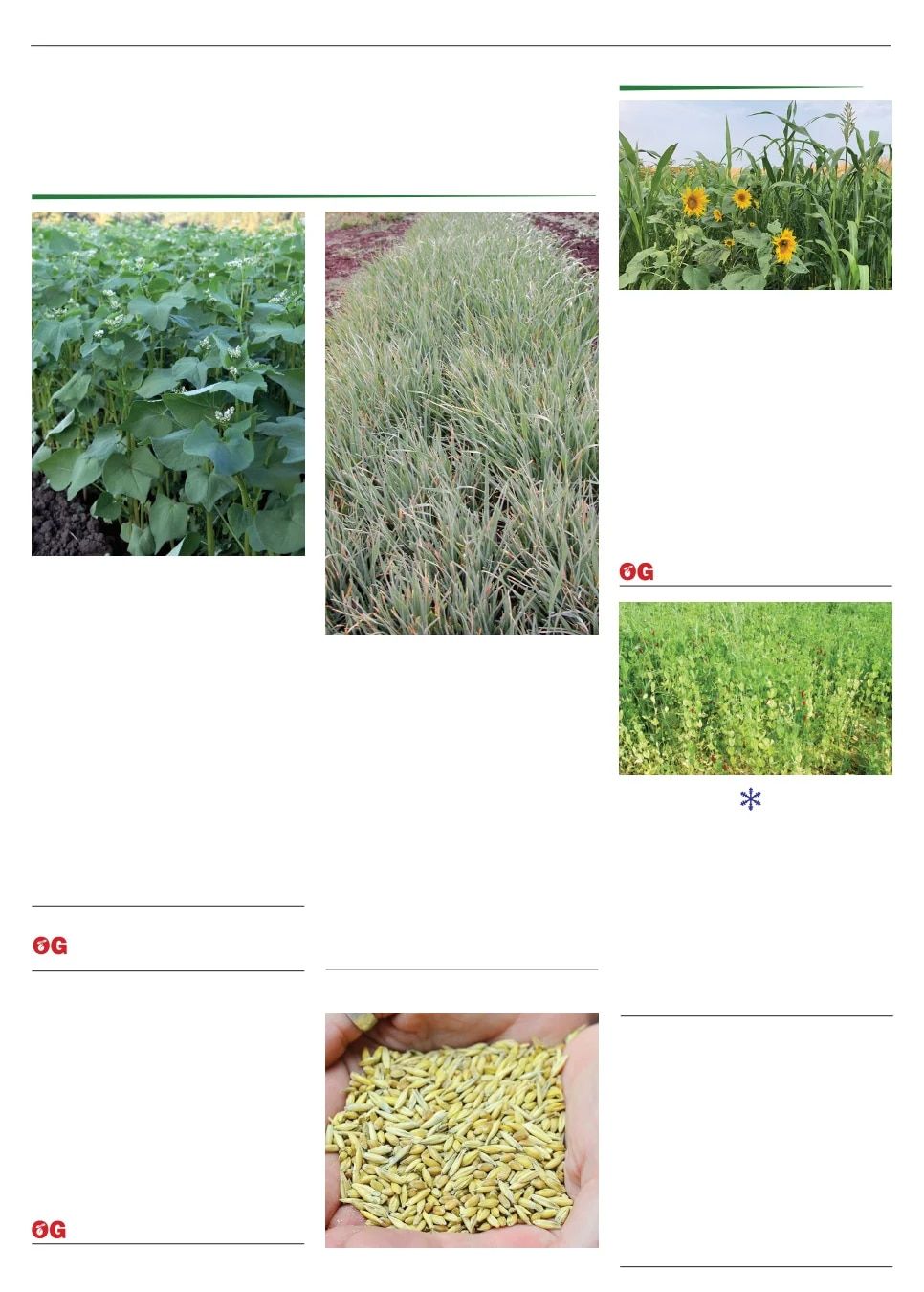 Territorial Seed Spring Catalog Weekly Ad January 1 - September 30, 2026