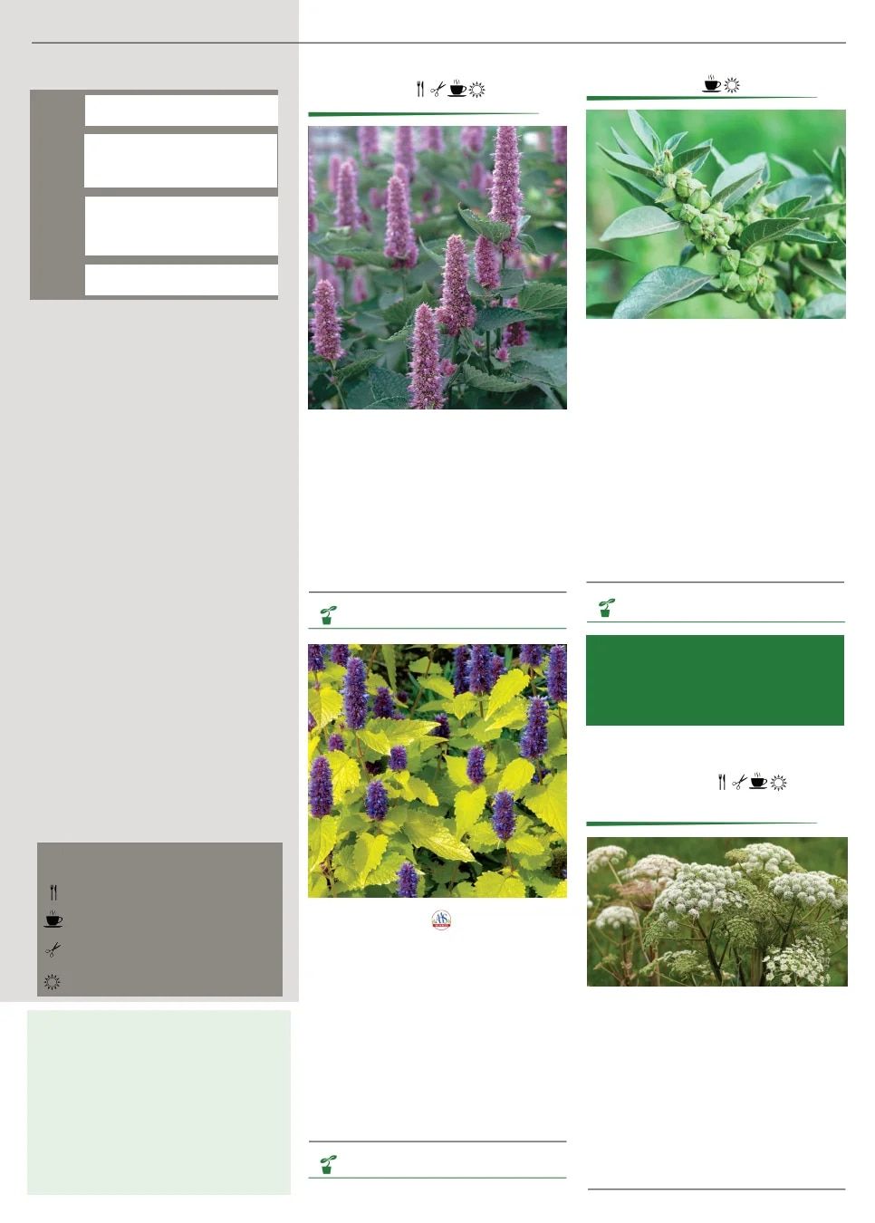 Territorial Seed Spring Catalog Weekly Ad January 1 - September 30, 2026