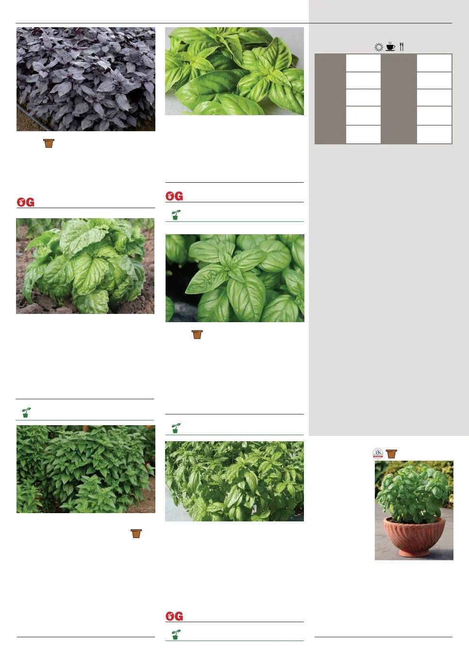 Territorial Seed Spring Catalog Weekly Ad January 1 - September 30, 2026