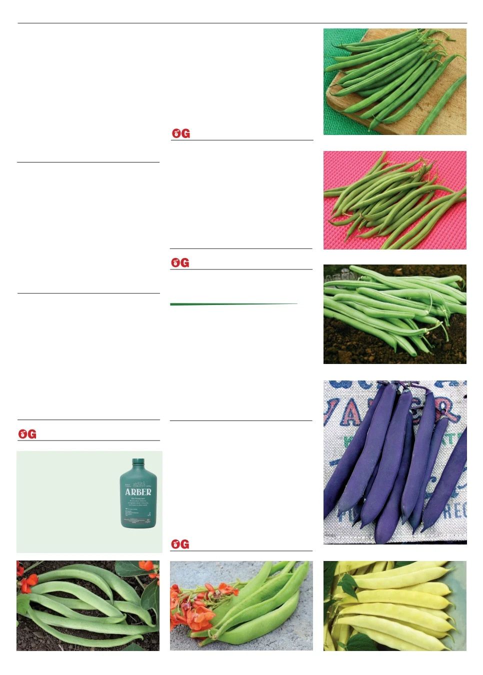 Territorial Seed Spring Catalog Weekly Ad January 1 - September 30, 2026
