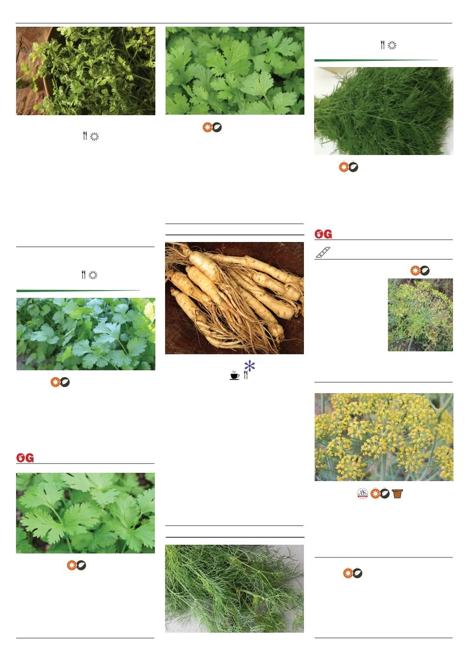 Territorial Seed Spring Catalog Weekly Ad January 1 - September 30, 2026