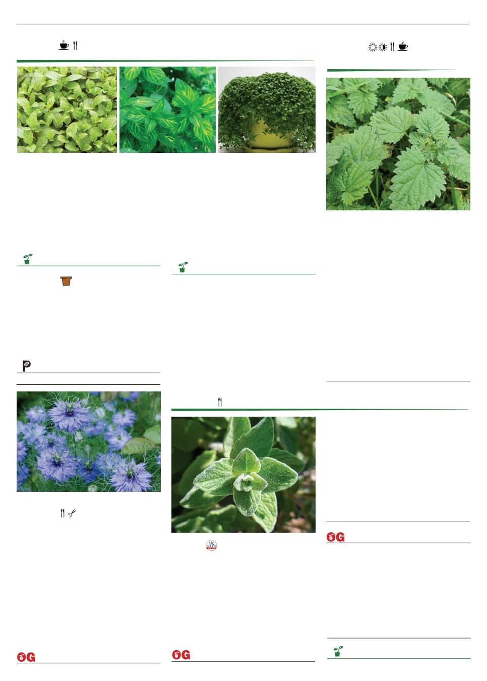 Territorial Seed Spring Catalog Weekly Ad January 1 - September 30, 2026
