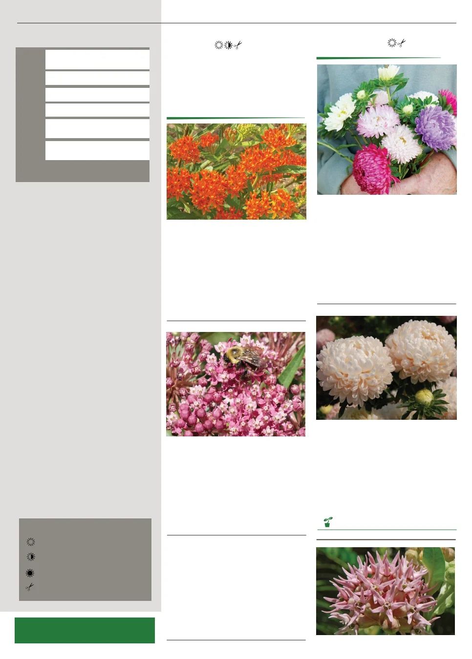 Territorial Seed Spring Catalog Weekly Ad January 1 - September 30, 2026