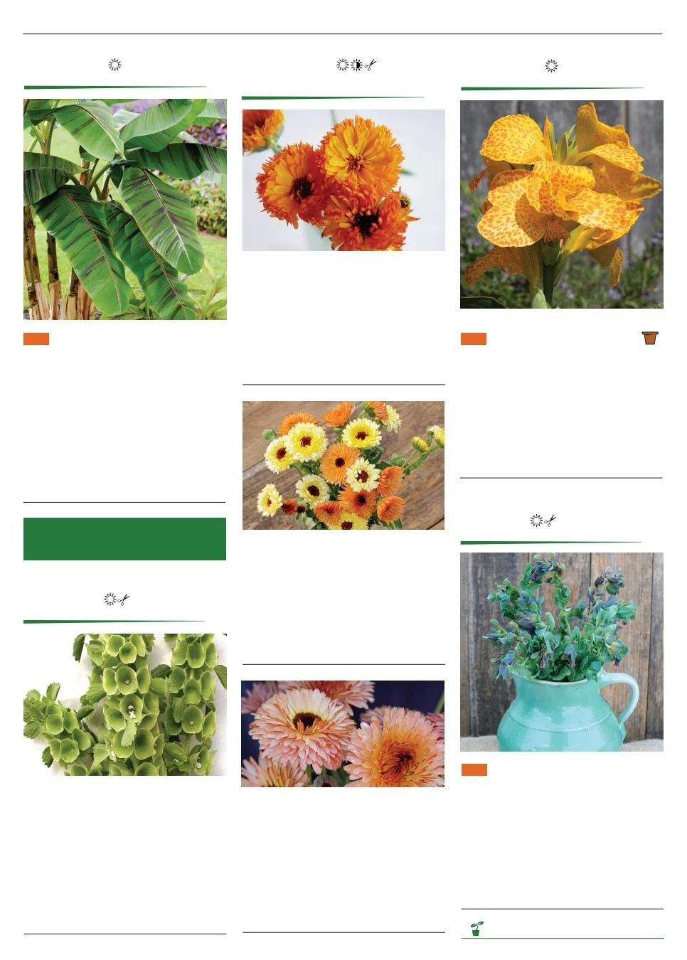 Territorial Seed Spring Catalog Weekly Ad January 1 - September 30, 2026