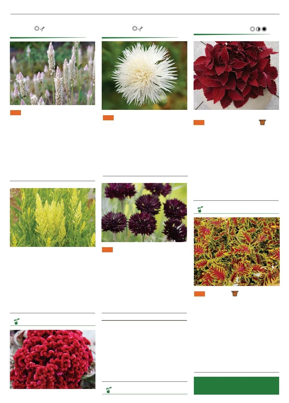 Territorial Seed Spring Catalog Weekly Ad January 1 - September 30, 2026