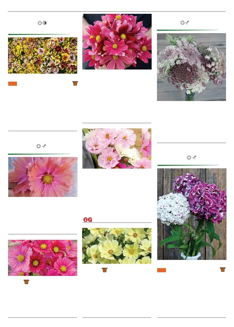 Territorial Seed Spring Catalog Weekly Ad January 1 - September 30, 2026