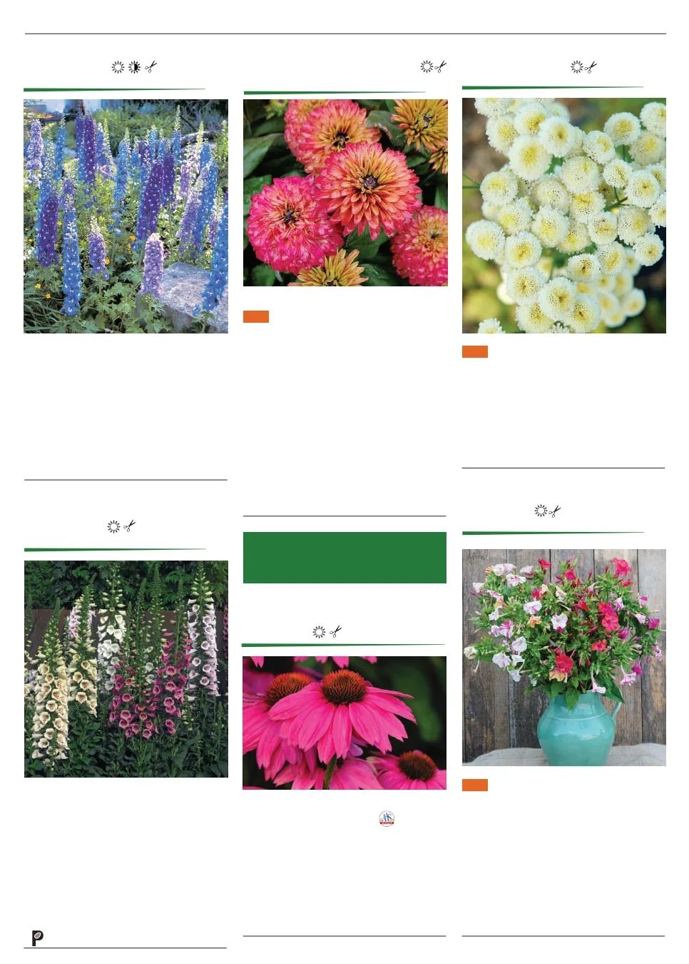 Territorial Seed Spring Catalog Weekly Ad January 1 - September 30, 2026