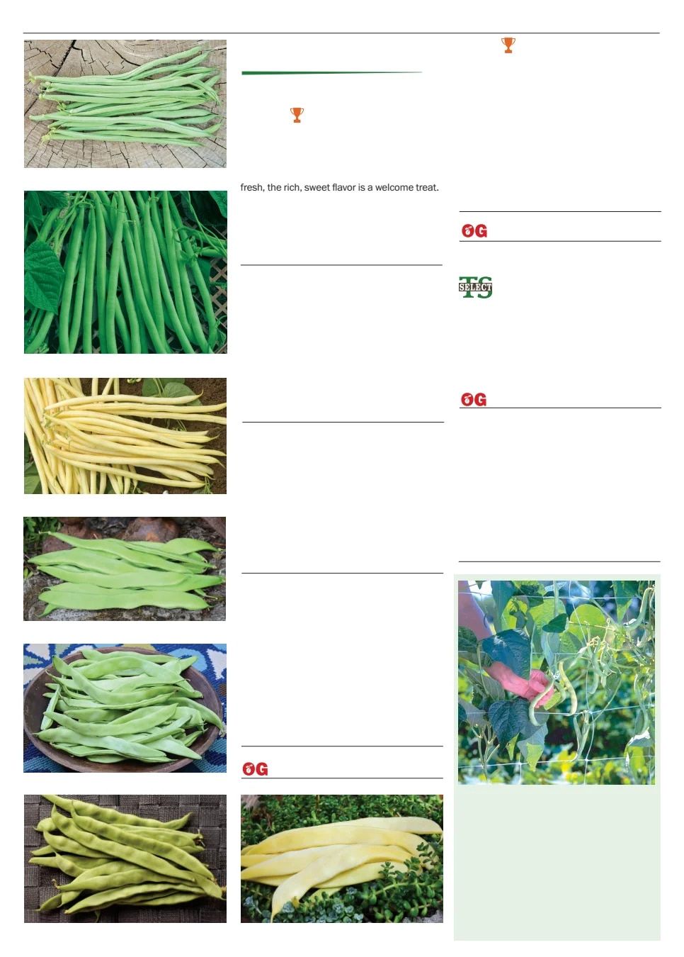 Territorial Seed Spring Catalog Weekly Ad January 1 - September 30, 2026