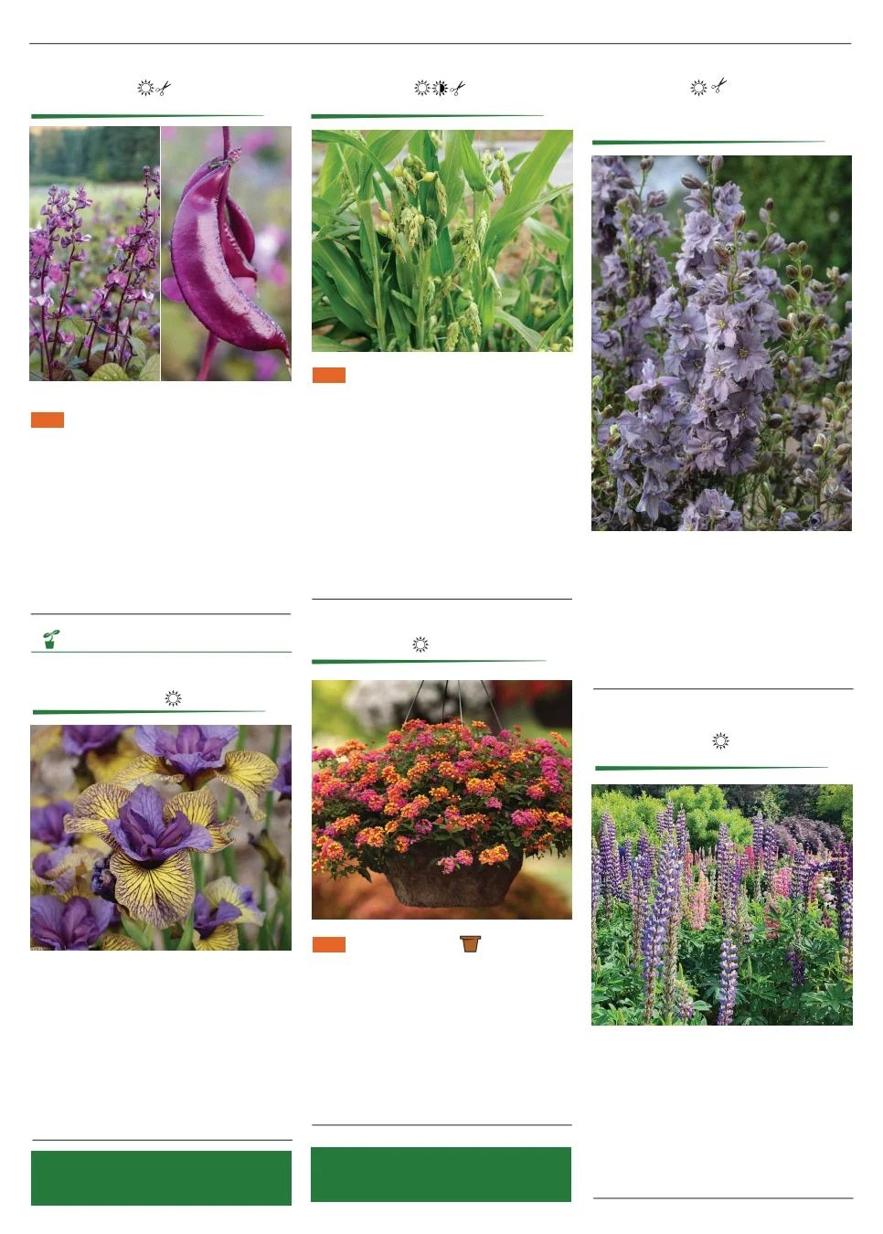 Territorial Seed Spring Catalog Weekly Ad January 1 - September 30, 2026