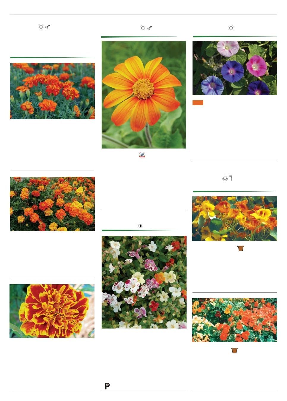Territorial Seed Spring Catalog Weekly Ad January 1 - September 30, 2026