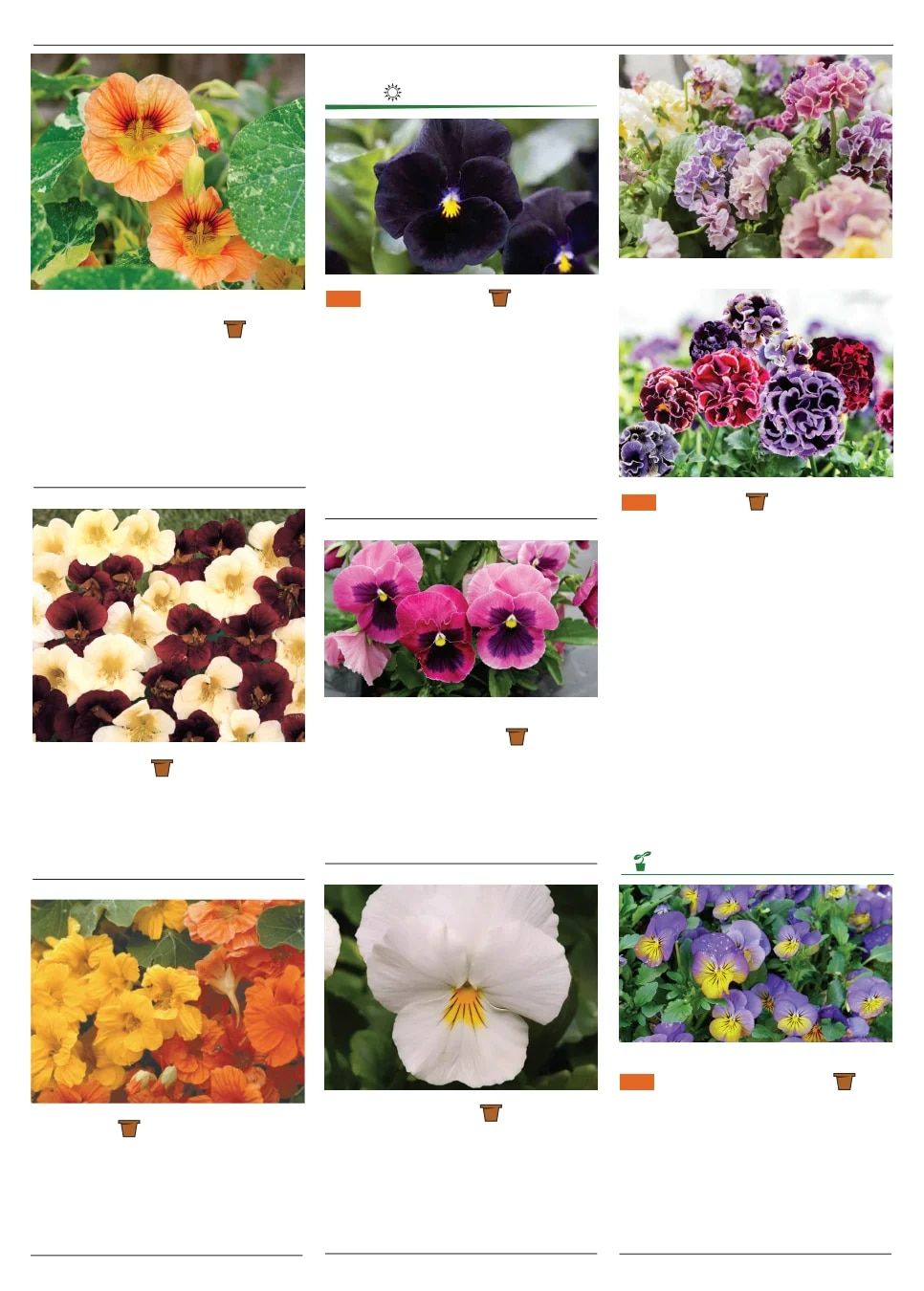 Territorial Seed Spring Catalog Weekly Ad January 1 - September 30, 2026