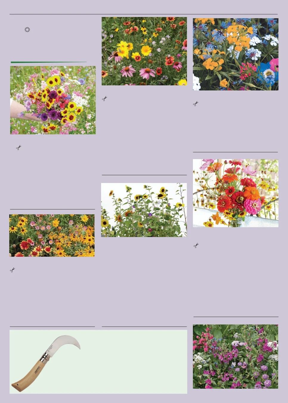 Territorial Seed Spring Catalog Weekly Ad January 1 - September 30, 2026