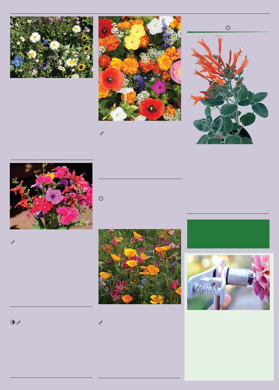 Territorial Seed Spring Catalog Weekly Ad January 1 - September 30, 2026