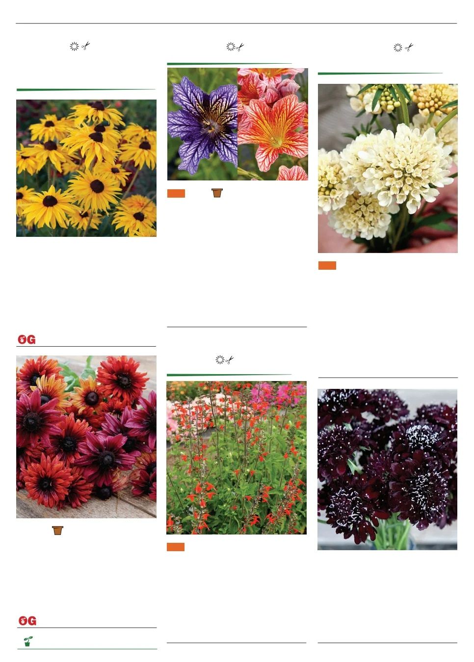 Territorial Seed Spring Catalog Weekly Ad January 1 - September 30, 2026