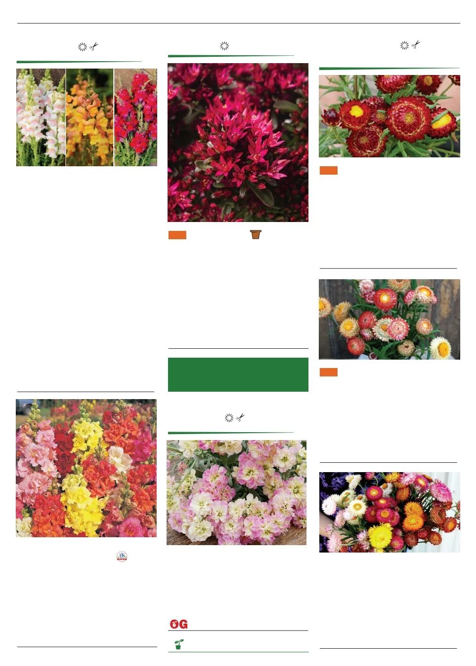 Territorial Seed Spring Catalog Weekly Ad January 1 - September 30, 2026