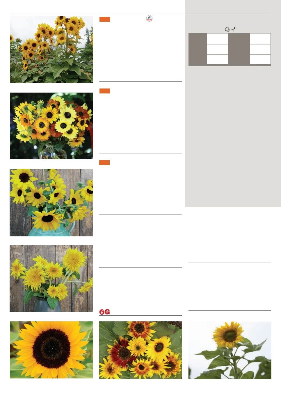 Territorial Seed Spring Catalog Weekly Ad January 1 - September 30, 2026