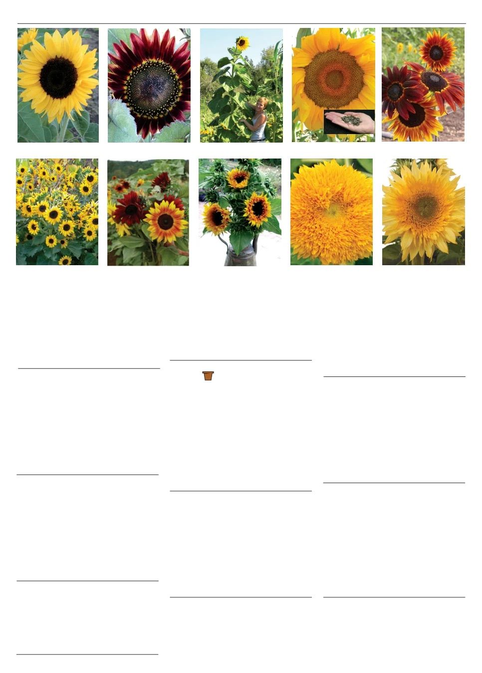 Territorial Seed Spring Catalog Weekly Ad January 1 - September 30, 2026