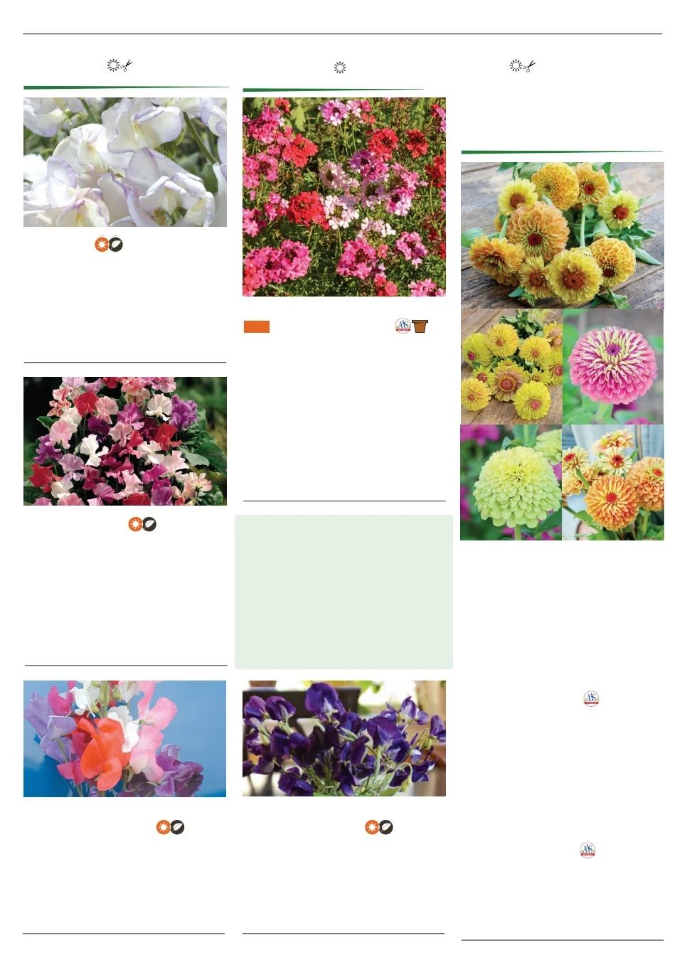 Territorial Seed Spring Catalog Weekly Ad January 1 - September 30, 2026