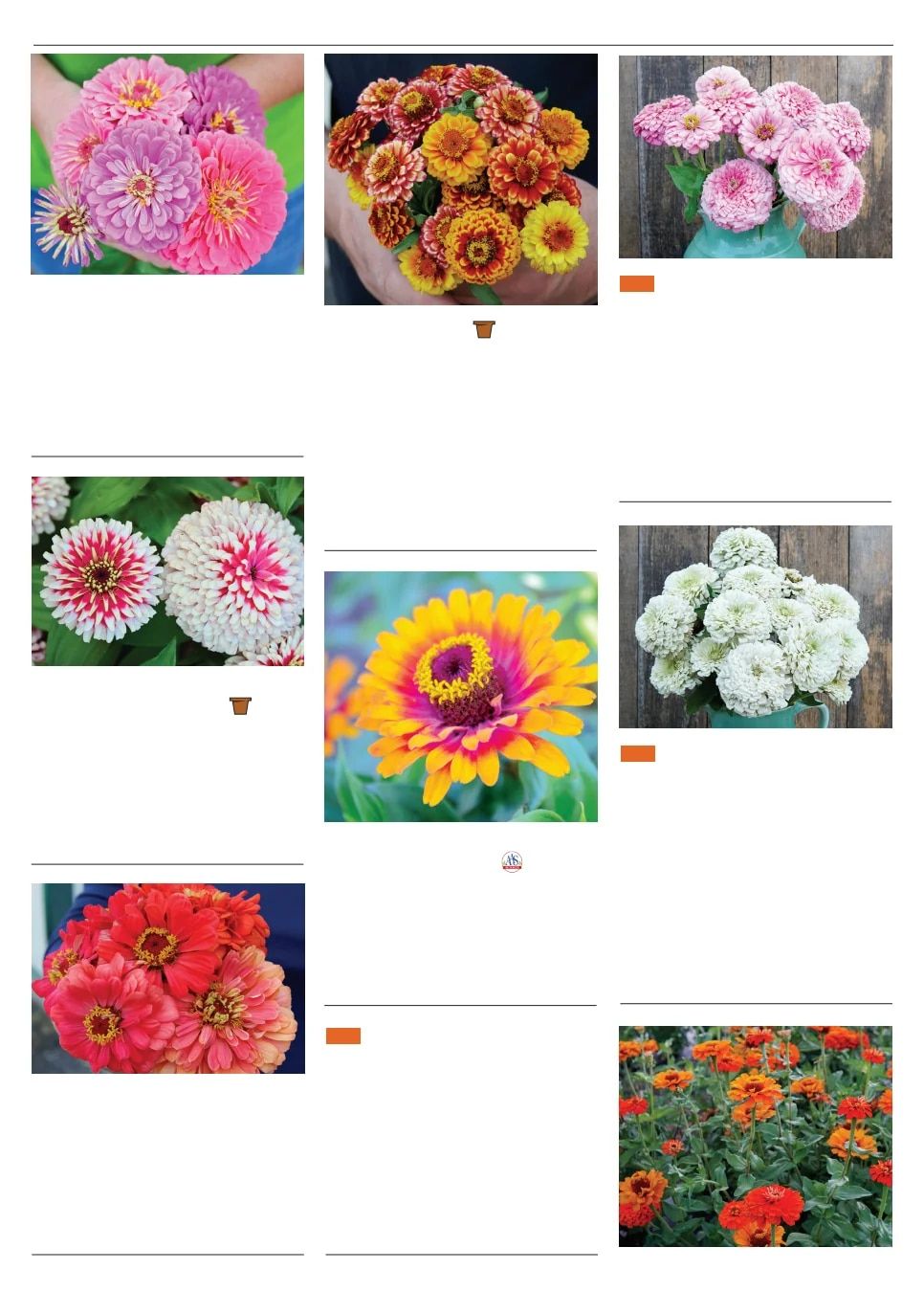 Territorial Seed Spring Catalog Weekly Ad January 1 - September 30, 2026