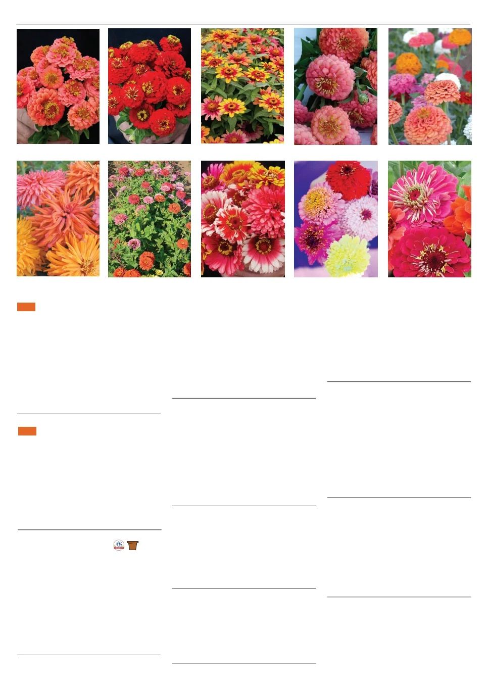 Territorial Seed Spring Catalog Weekly Ad January 1 - September 30, 2026