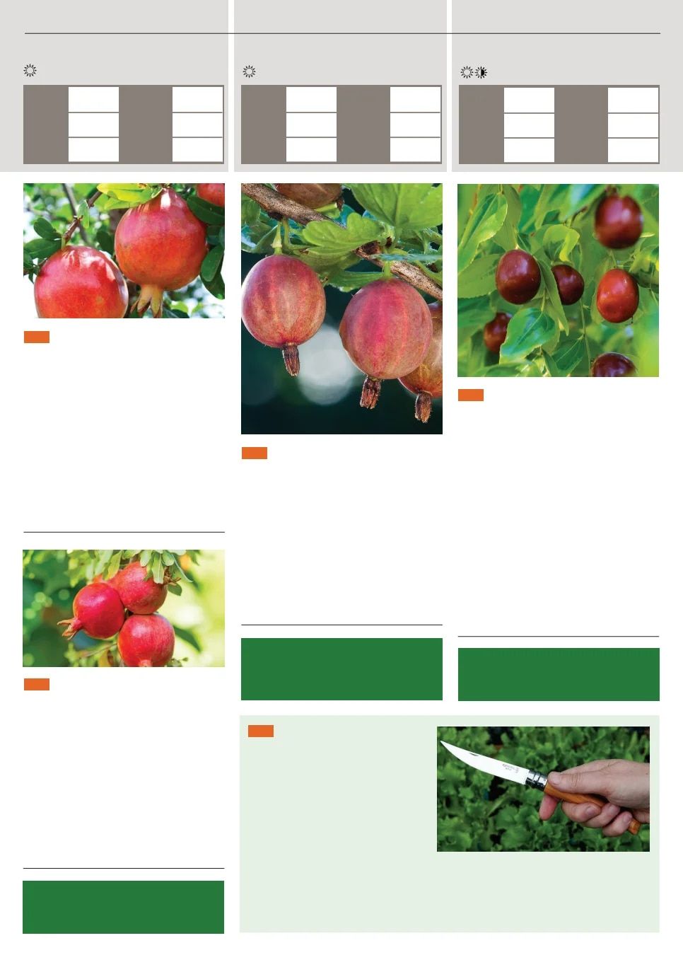 Territorial Seed Spring Catalog Weekly Ad January 1 - September 30, 2026