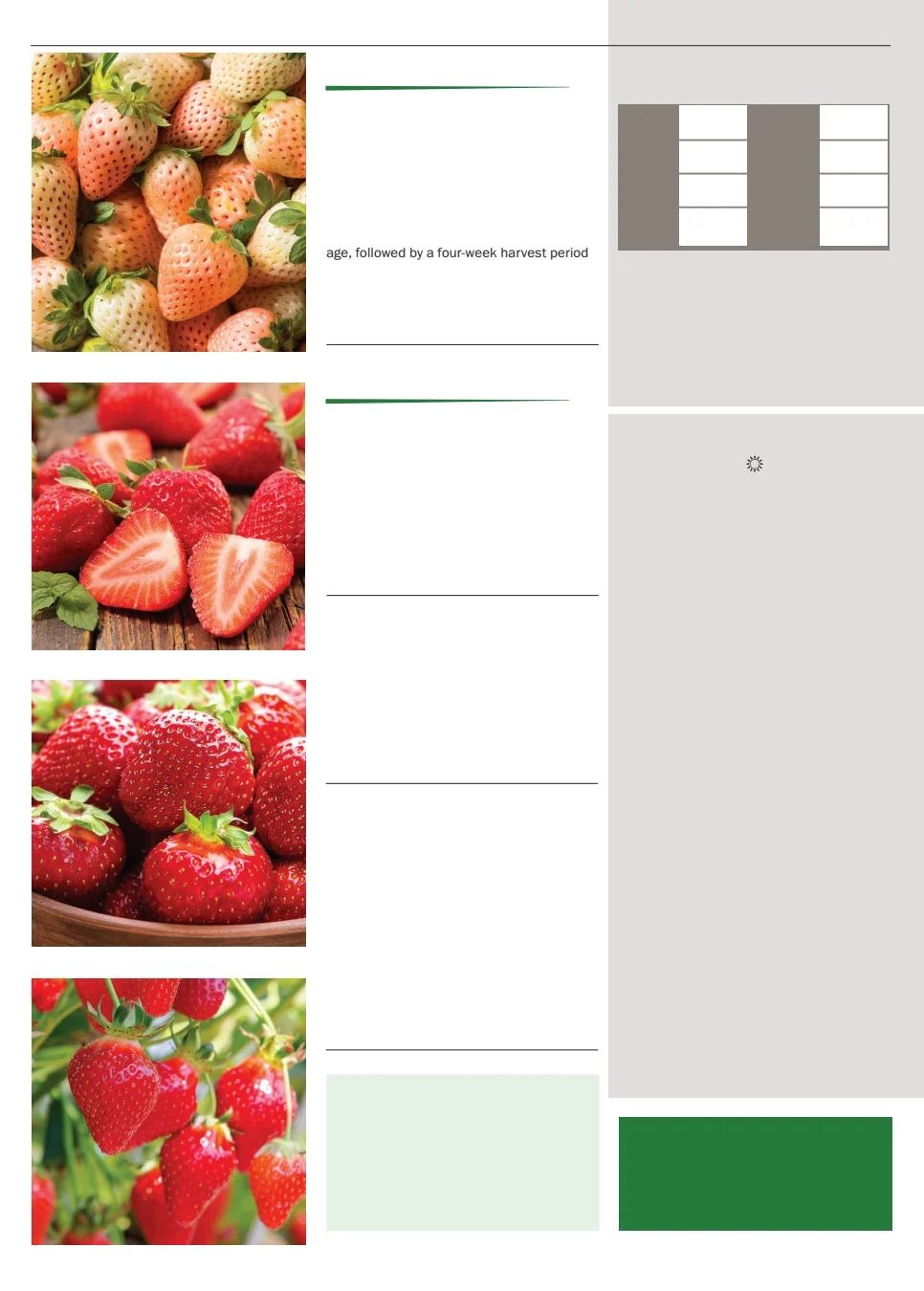 Territorial Seed Spring Catalog Weekly Ad January 1 - September 30, 2026